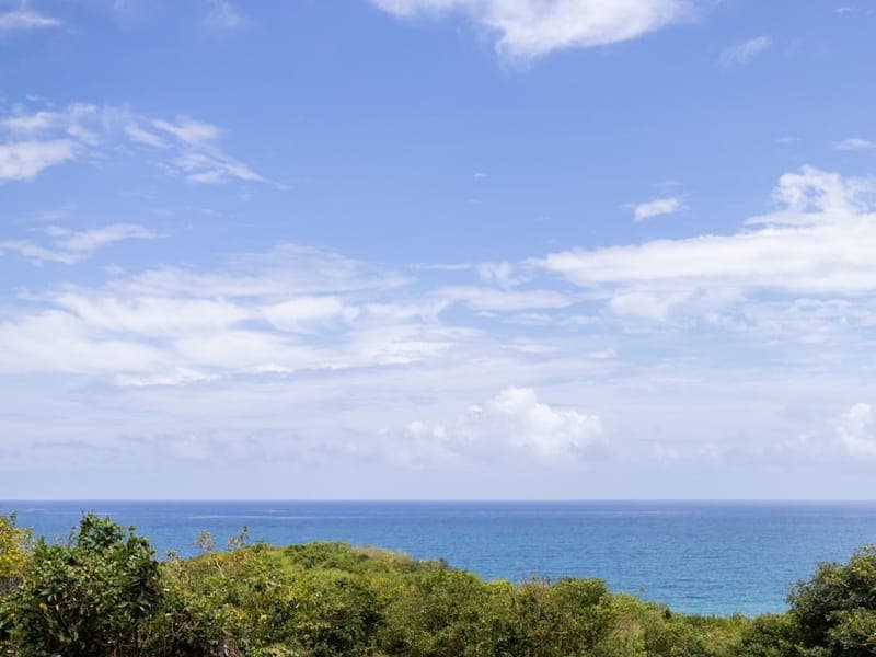An open blue sky over a calm ocean horizon beyond low coastal scrub